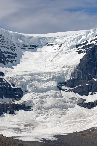 Stock photo: Glacier in the Canadian Rocky Mountains reaches the valley.