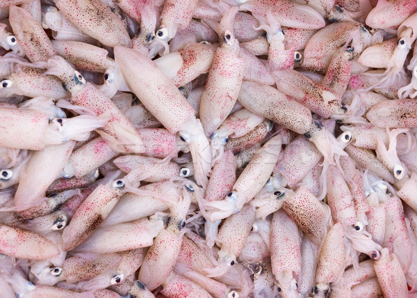 Вьетнам рынке свежие кальмар куча морепродуктов Сток-фото © Klodien