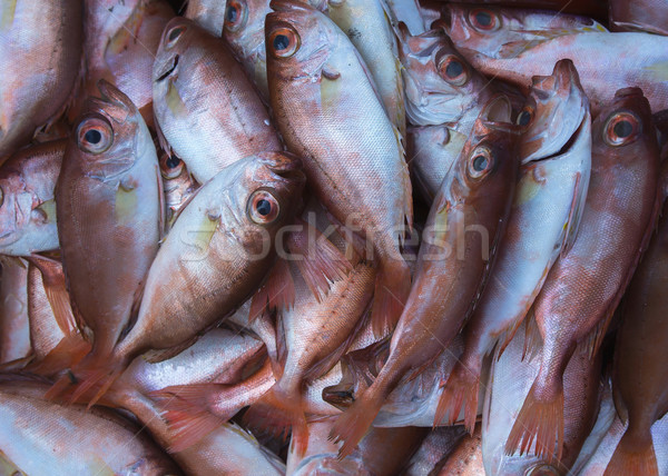 Peşte sud China mare Vietnam Imagine de stoc © Klodien