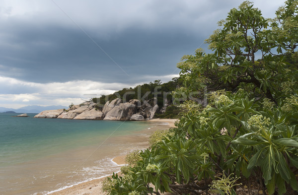 Storms gather over a tropical paradise beach. Stock photo © Klodien