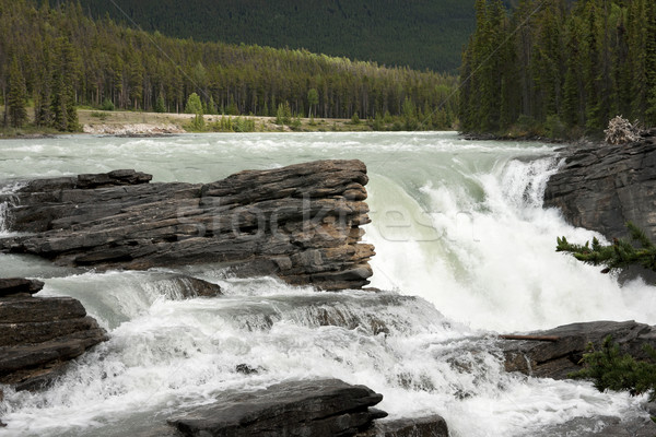 Athabaska Falls in the Canadian Rockies - Alberta. Stock photo © Klodien