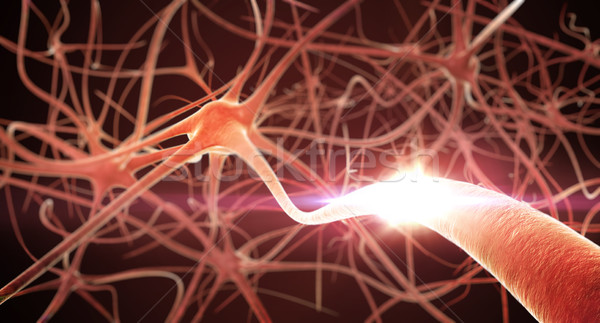 3d render nöronlar ağ sığ beyin enerji Stok fotoğraf © klss