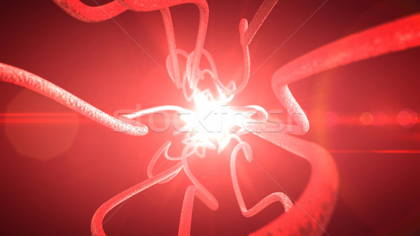 Nervioso sistema nervioso 3d cuerpo Foto stock © klss
