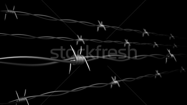 Barbed wire. Stock photo © klss