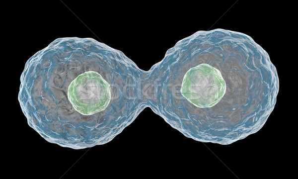 Stock photo: Multiplying Cells on Black Background.