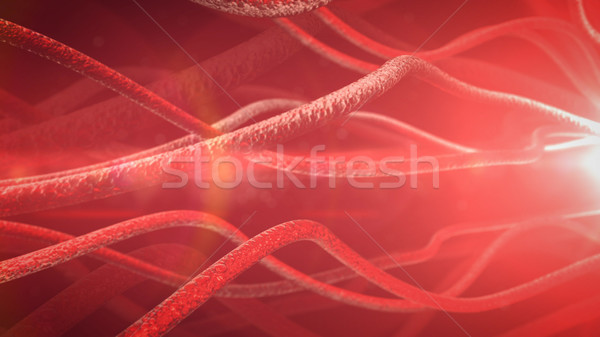 Stock photo: Neurons and nervous system.  