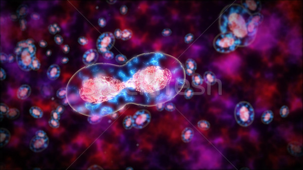 Abstract Cells or bacterias or germs under a microscope.  Stock photo © klss