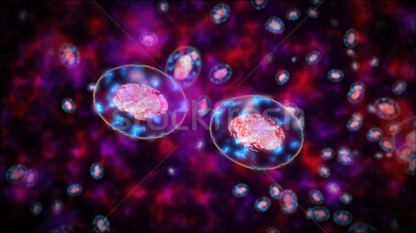 Two bacteria or germs or cells againt each other. Stock photo © klss