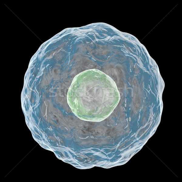 Digital illustration of CELL isolated on black background. Stock photo © klss