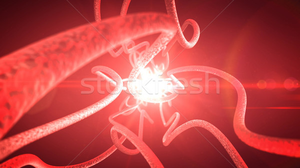 Neuronen nervös Nervensystem 3d render Körper Stock foto © klss