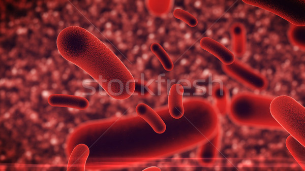 Bacteria virus under microscope Stock photo © klss
