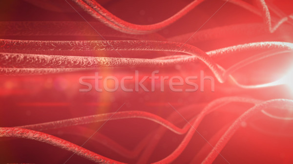 Stock fotó: Neuronok · ideges · idegrendszer · 3d · render · test