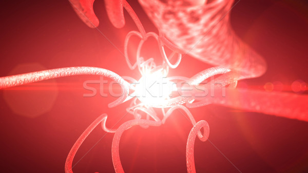 Neurons and nervous system.   Stock photo © klss