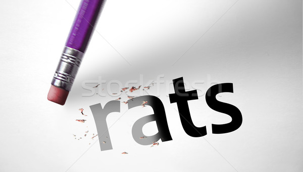 Eraser deleting the word Rats  Stock photo © klublu