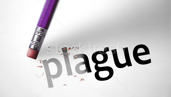 Eraser deleting the word Plague Stock photo © klublu