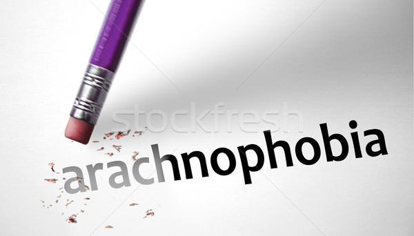 Eraser слово арахнофобия волос карандашом птица Сток-фото © klublu
