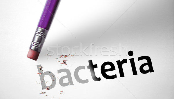 Eraser deleting the word Bacteria  Stock photo © klublu