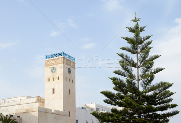 Marruecos reloj torre árbol edificio paisaje Foto stock © KMWPhotography