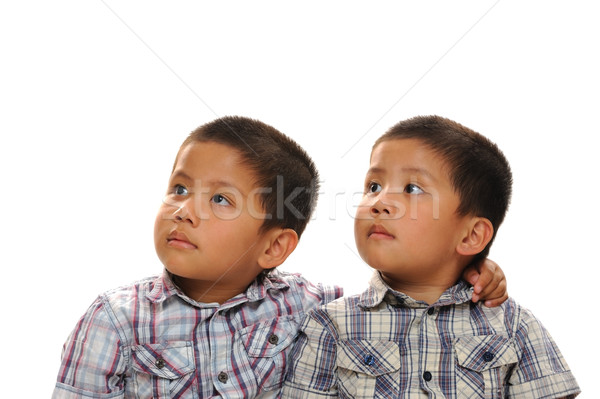 Twins Stock photo © KMWPhotography
