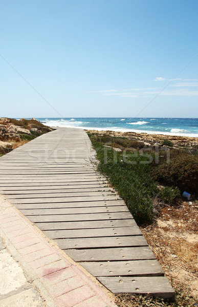 Foto stock: Madera · azul · mar · cielo · agua · árbol