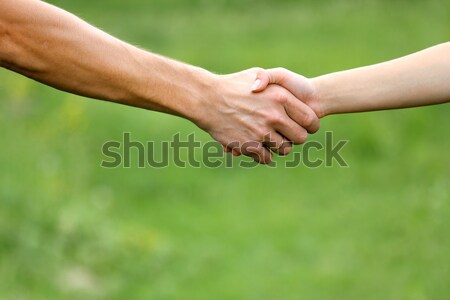 Two young lovers hands on nature Stock photo © koca777