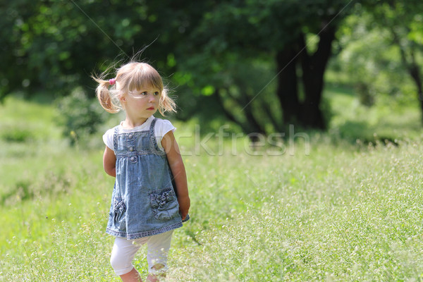 Belle petite fille nature famille fille bébé [[stock_photo]] © koca777