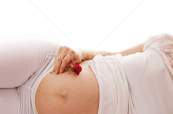 Femme enceinte blanche femme main amour femmes [[stock_photo]] © koca777