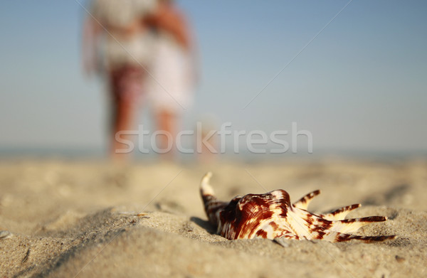 Para miłości brzegu morza słońce wygaśnięcia Zdjęcia stock © koca777