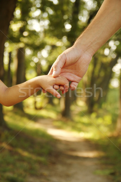 Mamă mână mic copil securitate verde Imagine de stoc © koca777