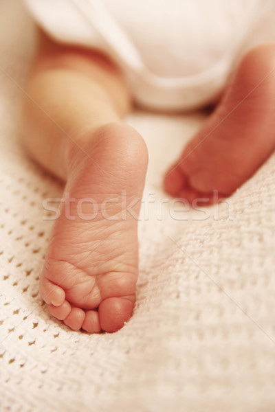 Une cute peu bébé mains [[stock_photo]] © koca777