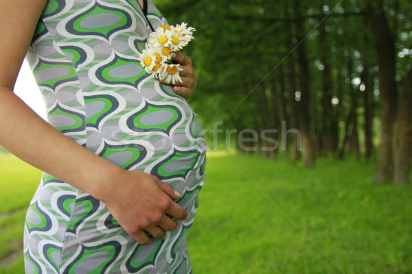 Ventre femme enceinte nature femme herbe homme [[stock_photo]] © koca777