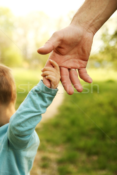 Ouder hand klein kind familie groene Stockfoto © koca777