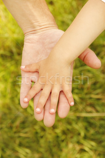 Parent main faible enfant famille sécurité [[stock_photo]] © koca777