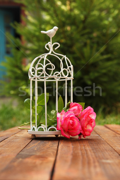 Decorativo gaiola flores cerimônia de casamento amor natureza Foto stock © koca777