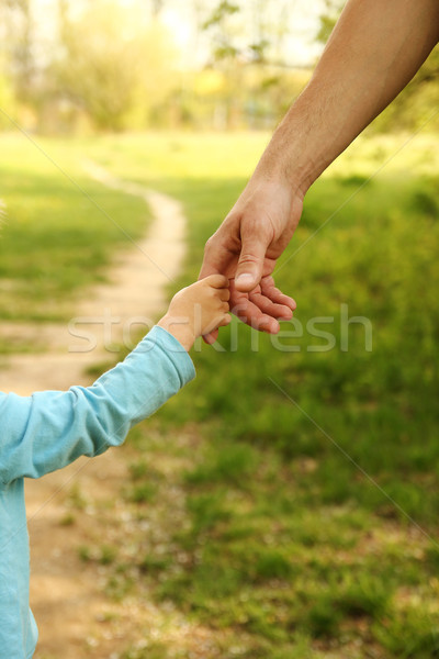 Padres mano pequeño nino familia verde Foto stock © koca777