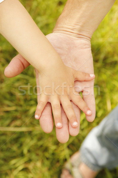 parent holds the hand of a small child  Stock photo © koca777