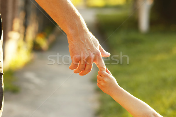 Foto d'archivio: Madre · mano · piccolo · bambino · famiglia · sicurezza