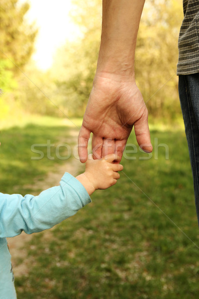 Stock photo:  parent holds the hand of a small child