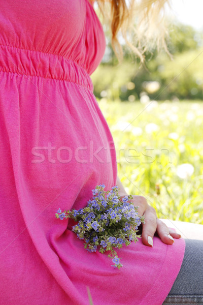 Ventre femme enceinte nature femme herbe homme [[stock_photo]] © koca777