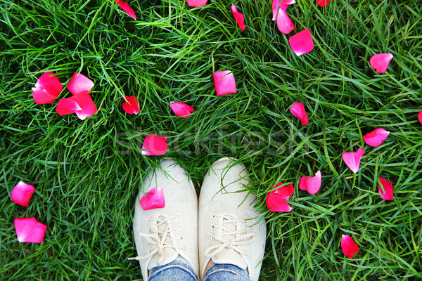 Piernas zapatos hierba verde nina primavera hierba Foto stock © koca777