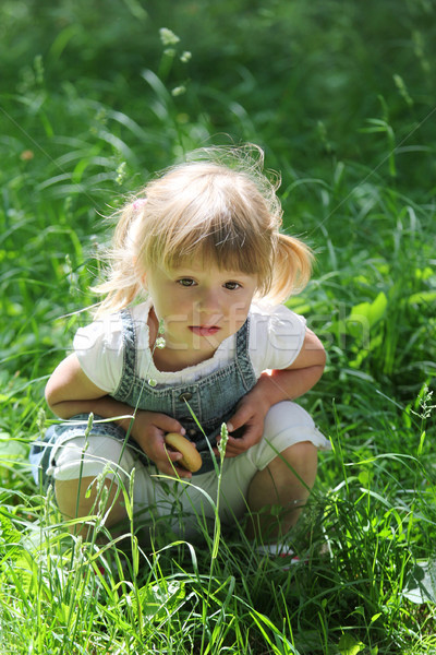 Belle petite fille nature famille fille bébé [[stock_photo]] © koca777