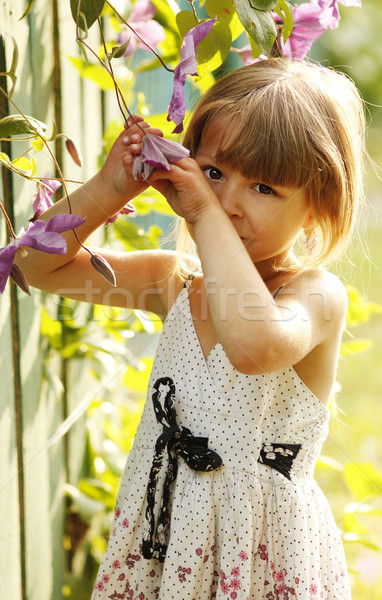 Belle petite fille nature famille fille bébé [[stock_photo]] © koca777