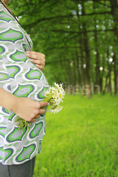 Ventre belle jeunes enceintes fille nature [[stock_photo]] © koca777