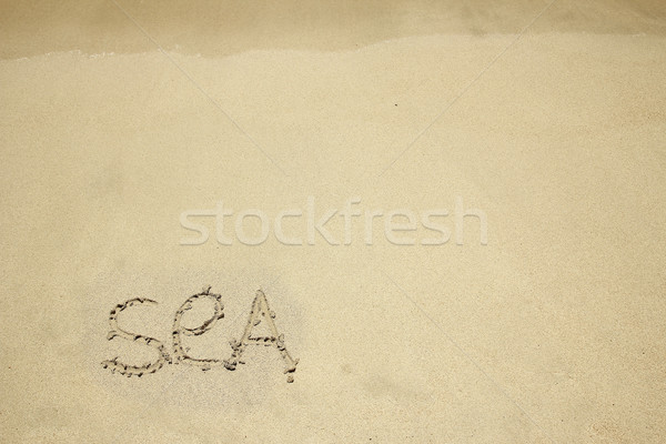 ストックフォト: 碑文 · 砂 · 海 · ビーチ · 愛 · 抽象的な