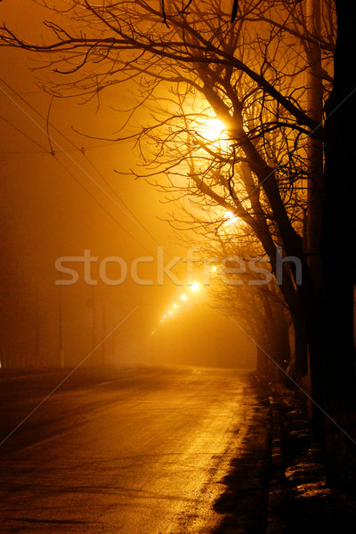 Bäume Straße Nebel Nacht Wald Sonnenuntergang Stock foto © koca777