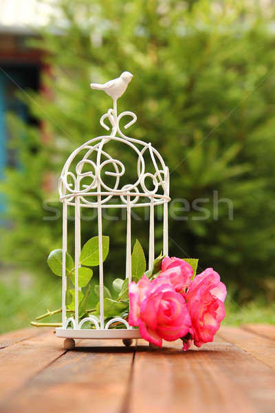 Dekoratív ketrec virágok esküvői ceremónia szeretet természet Stock fotó © koca777