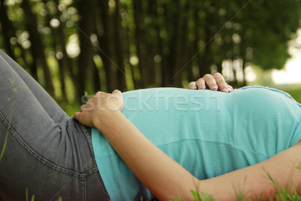 Vientre mujer embarazada naturaleza mujer hierba hombre Foto stock © koca777