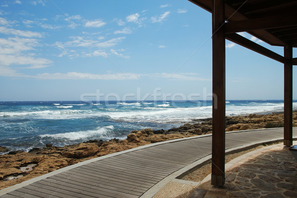 Playa paisaje mar árbol hierba hombre Foto stock © koca777