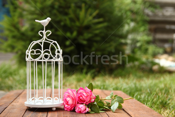 Decorativo gaiola flores cerimônia de casamento amor natureza Foto stock © koca777