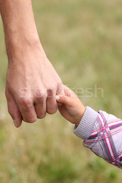 parent holds the hand of a small child Stock photo © koca777